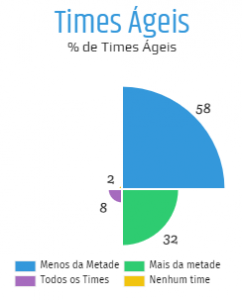 State of Agile - Times Ágeis